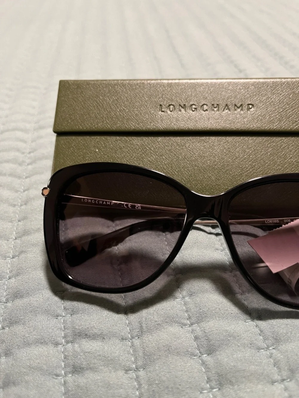 New Longchamp Women's Gradient Oversized Sunglasses